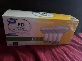 078742159607 GREAT VALUE Led Light Bulb Floodlight Lamp