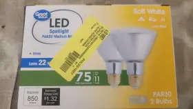 GVP30DS7272 GREAT VALUE Led Equiv Light Bulb Dimmable