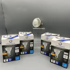 16109 GREEN CREATIVE Lightbulb
