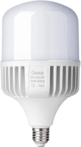 6565-1812 GREOUS Bright Light Bulb Led Volt