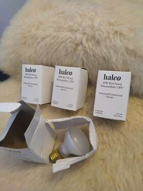 9101 HALCO Floolight Bulb Base Reflector Lamp