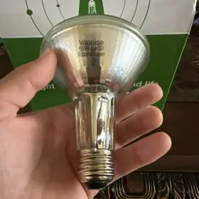 MUED10420687LFH13367 HALOGEN Light Bulbs