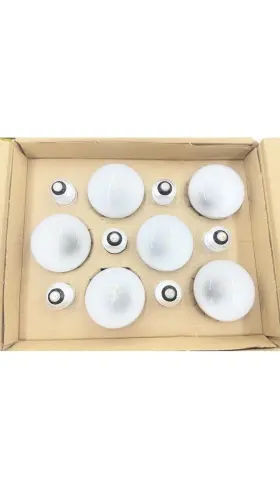 300609 HD SUPPLY FACILITIES MAINTENANCE Flood Bulb Pa