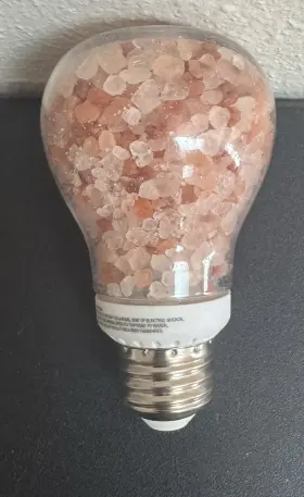 818581011373 HIMALAYAN GLOW Natural Salt Bulb Night Light