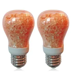 W1651B-2PK HIMALAYAN GLOW Salt Led Light Bulb Pack