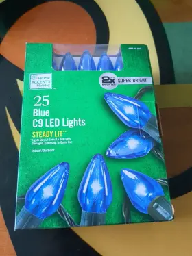 744110771718 HOLIDAY SEASONS Led Christmas Lights Wire Steady