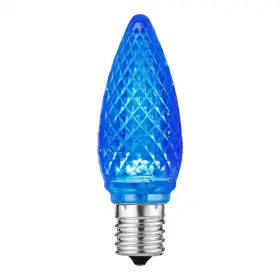 313029532583 HOME ACCENTS HOLIDAY Shatter Faceted Led Bulbs