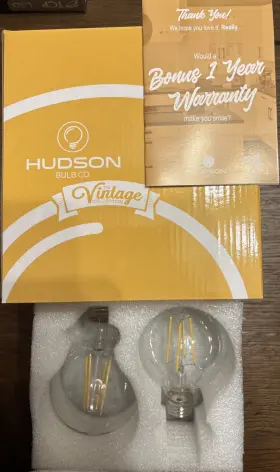 810106761312 HUDSON Bulb Led Edison Round Light