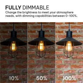 ST58-LED-2700K-6 HUDSON BULB CO Edison Light Bulbs Pack Base #3