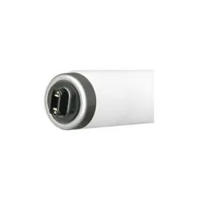 F36T12-D-HO ILB GOLD Fluorescent Bulb Linear Donsbulbs