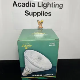 93065 LIGHT Pack Flood Bulb #2