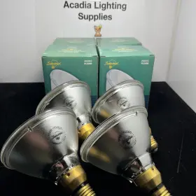 93065 LIGHT Pack Flood Bulb