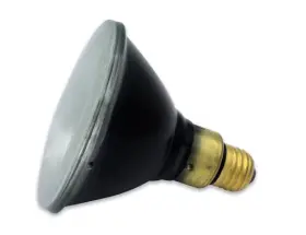WW-55A3-6 INTERLIGHT Mercury Vapor Bulb Spectroline