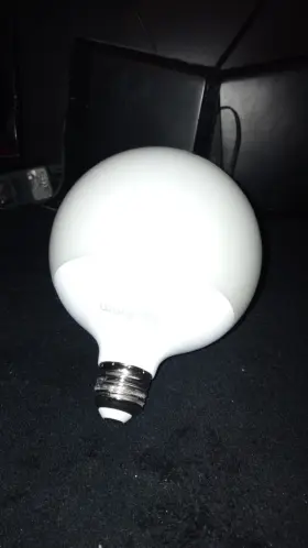 VES3713 JARDHOM Led Light Bulb Globe