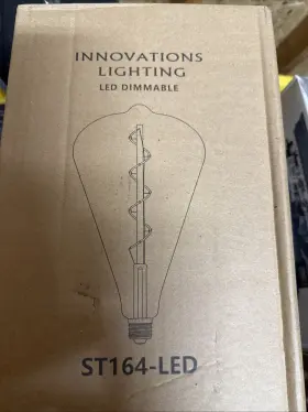 000470977635 JASPERTRONICS Innovations Oversized Edison Bulbs