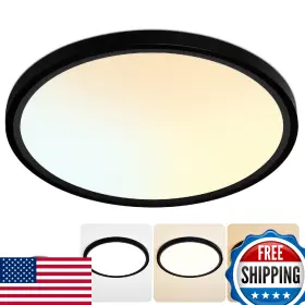 B0D2R3PG89 KIWIVIC Flush Mount Led Ceiling Light Dimmable