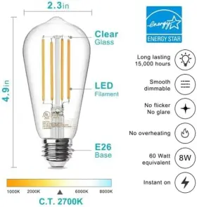 ST19WW2700-12 LED Pack Edison Light Bulbs #2