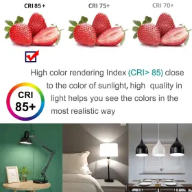 738067816837 LEDBEFINE Led Light Bulb #3