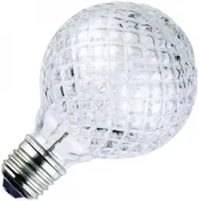 3200482 LIGHTING CO Incandescent Wattage Glass Light Bulb #3