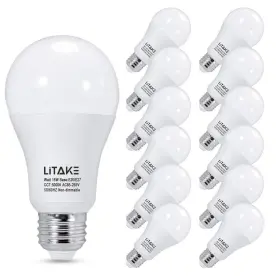 198290543854 LITAKE Led Bulbs Light