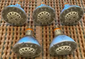 LP10564FL4D LITETRONICS Led Parfection Dimmable #2