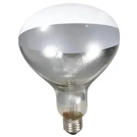 170031 LITTLE GIANT Heat Lamp Bulb