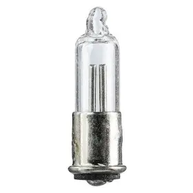 C7A-10PK LUMAPRO Miniature Neon Light Bulb