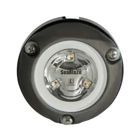 089300014573 LUMITEC Lighting Mini Led Underwater Light Mount