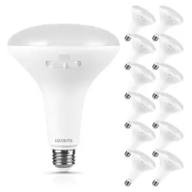 445001948976 LUXRITE Led Light Bulb Flood