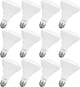 LR31852 LUXRITE Led Bulb Pack Natural