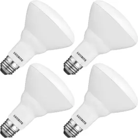 LR31876 LUXRITE Led Flood Light Bulbs Dimmable