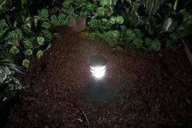 769135744080 MAKERGROUP Wedge Base Led Light Bulbs Rv Camp #3