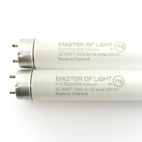 F32T8 MASTER OF LIGHT Pack Fluorescent Tube Bulb