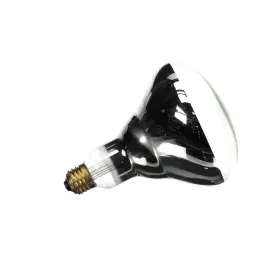 66103 NEMCO Bulbs Clea