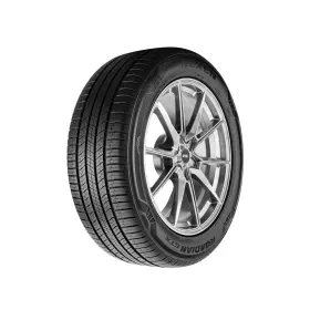 17046NXK NEXEN Roadian Gtx