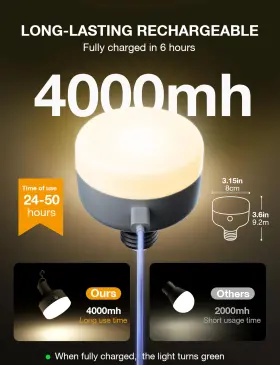 725889653535 NIORSUN Rechargeable Light Bulb Temperature Bat #3