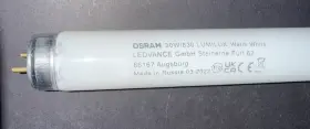 518053 OSRAM Bulbs