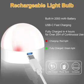 726133233176 PANGTON VILLA Rechargeable Battery Light Screw #3