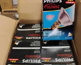 046677134013 PHILIPS Pack Flood Bulb Lamp Set