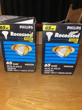 046677225193 PHILIPS Flood Light