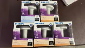 046677452384 PHILIPS Slimstyle Eq Light Dim