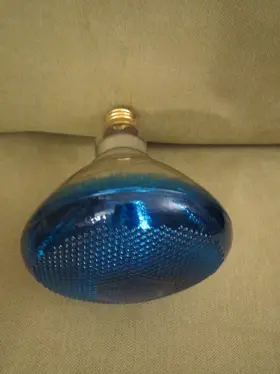 100PAR38-1-B PHILIPS Colortone Flood Light Bulb #3