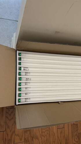 30PAK PHILIPS Bulbs