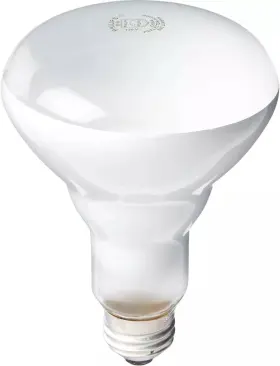 408662 PHILIPS Flood Light Bulb