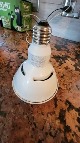 435420 PHILIPS Dim Af Led Lamp #2