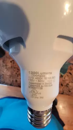 435420 PHILIPS Dim Af Led Lamp