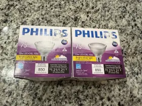 52980 PHILIPS Dimmable Led Flood Bright Light Bulb