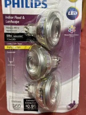 531913 PHILIPS Led Floodlight Bulb Pack