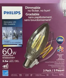 53566 PHILIPS Blunt Tip Bright Leds Candelabra Base