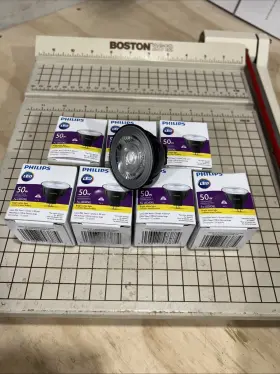 573873 PHILIPS Led Flood Dimmable Bulb Bright